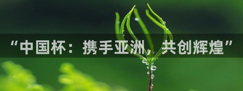 世界杯欧洲预选赛:“中国杯:携手亚洲,共创辉煌”