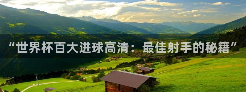 欧洲区世界杯预选赛:“世界杯百大进球高清:最佳射手的秘籍”