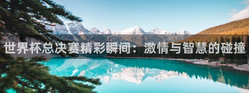 世界杯直播平台:世界杯总决赛精彩瞬间:激情与智慧的碰撞