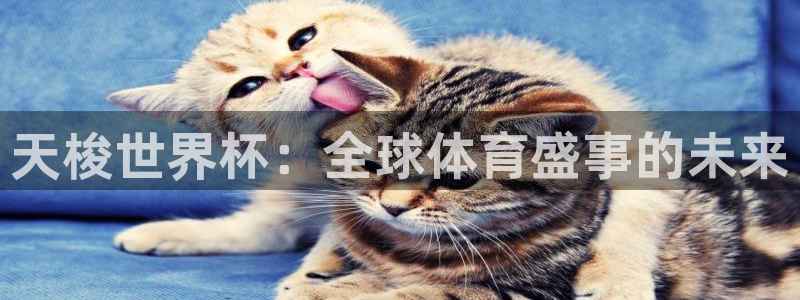 世界杯预选赛亚洲区积分榜:天梭世界杯:全球体育盛事的未来