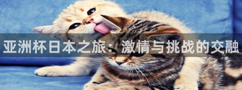 2026年世界杯赛程时间表格:亚洲杯日本之旅:激情与挑战的交融