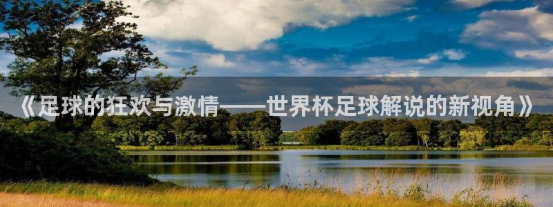 世界杯球队:《足球的狂欢与激情——世界杯足球解说的新视角》