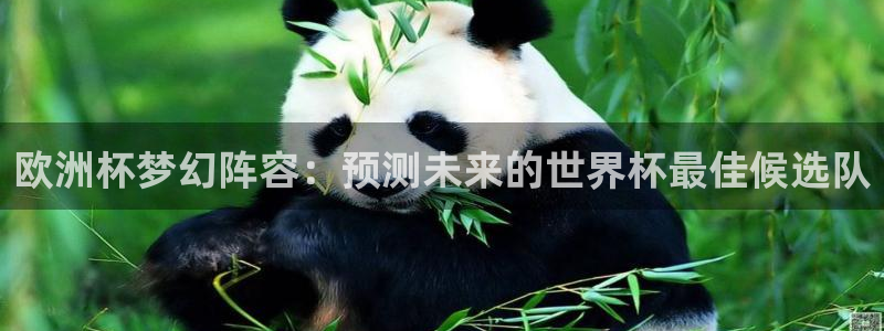 2026世界杯倒计时:欧洲杯梦幻阵容:预测未来的世界杯最佳候选队