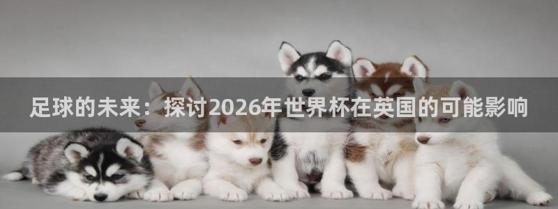 世界杯2026赛程表:足球的未来:探讨2026年世界杯在英国的可能影响