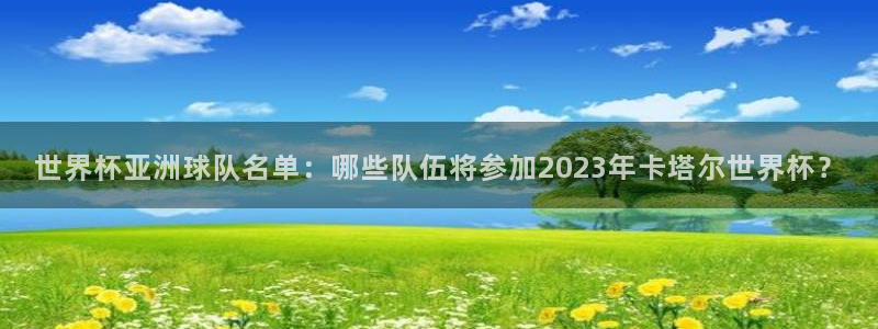 世界杯赛程时间表:世界杯亚洲球队名单:哪些队伍将参加2023年卡塔尔世界杯?