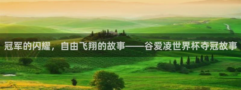 2026世界杯预选赛:冠军的闪耀,自由飞翔的故事——谷爱凌世界杯夺冠故事