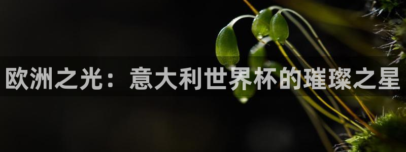 法国杯2026赛程表:欧洲之光:意大利世界杯的璀璨之星